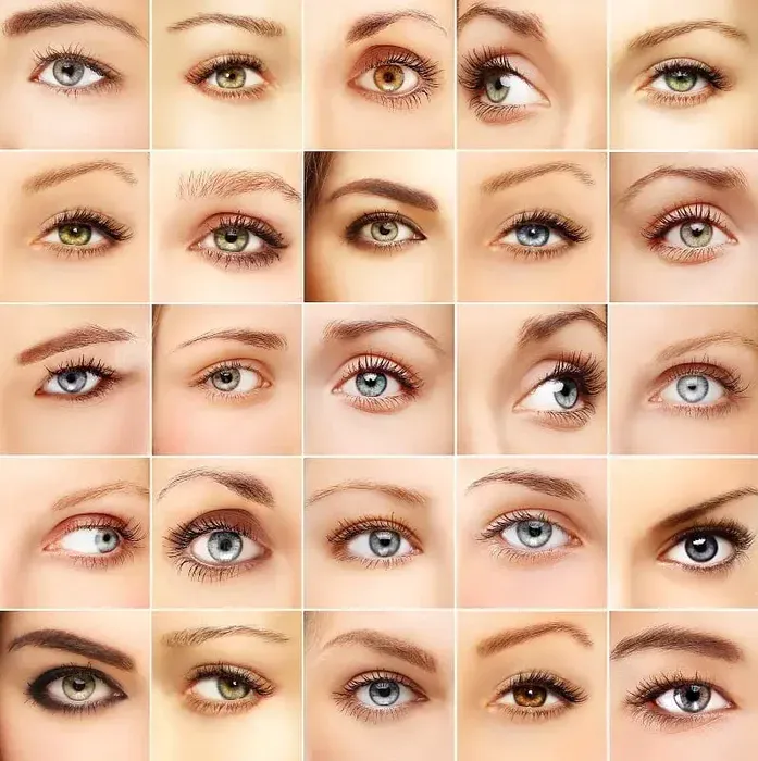 Precision Eyebrow Brush Image