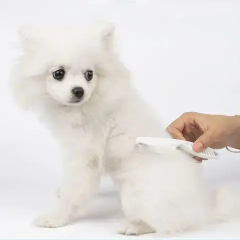 Comfortable to Use Flea Comb